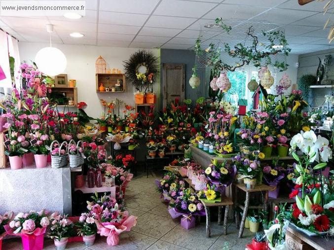 ville de Annecy Cadeaux - Fleurs à vendre, à louer ou à reprendre 