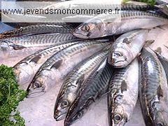 ville de andernos les bains Poissonnerie à vendre, à louer ou à reprendre 