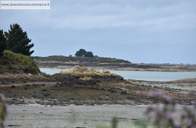 ville de paimpol Liquidation judiciaire CHR à vendre, à louer ou à reprendre 