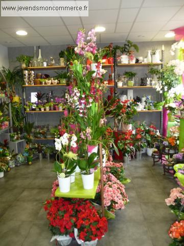 ville de LE TEIL Cadeaux - Fleurs à vendre, à louer ou à reprendre 