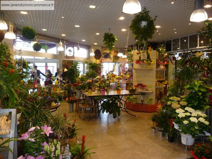 ville de beziers Cadeaux - Fleurs à vendre, à louer ou à reprendre 