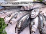 poissonnerie dans marché couvert en Aquitaine