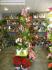 entreprise local commercial a louer ville de LE TEIL Cadeaux - Fleurs